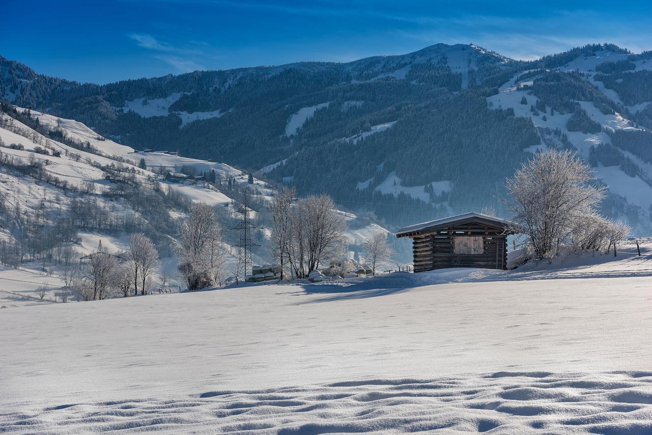 Bauernhofhotel "Die Unterbergerin" - Zimmer Mit Fruehstueck Und Ferienwohnungen In Gastein Mit Gratis Thermeneintritt Dorfgastein Dış mekan fotoğraf