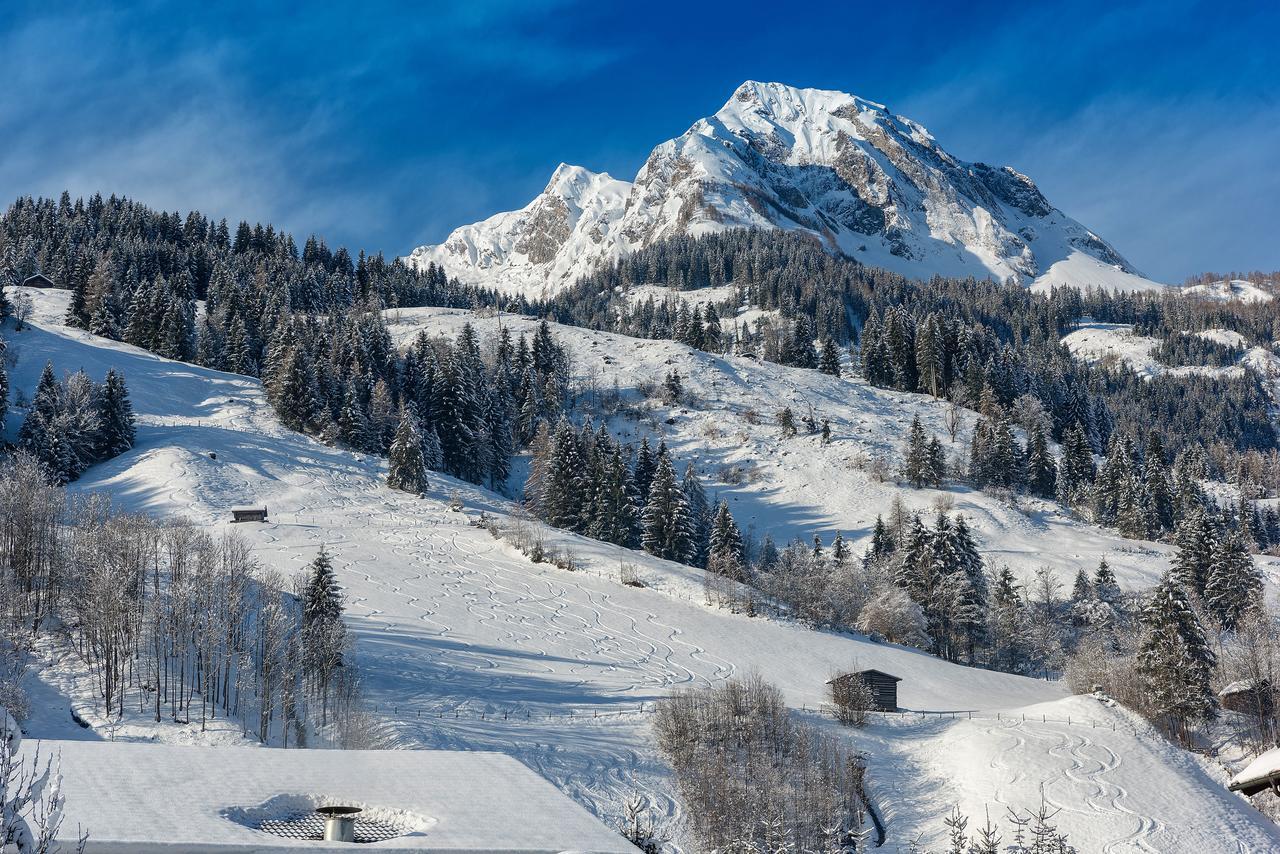 Bauernhofhotel "Die Unterbergerin" - Zimmer Mit Fruehstueck Und Ferienwohnungen In Gastein Mit Gratis Thermeneintritt Dorfgastein Dış mekan fotoğraf